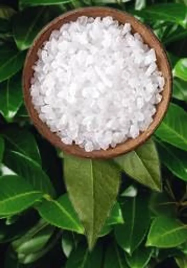Ojash_Pure_Arq_E_Kapur_Traditional_Herbal_Extract