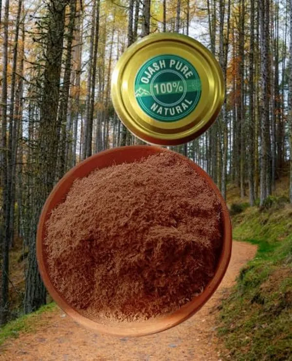 Ojash_Pure_Green_And_Harbal_Tea_Glass_Jar_Natural_Antioxidant_Rich_Fat_Cutter