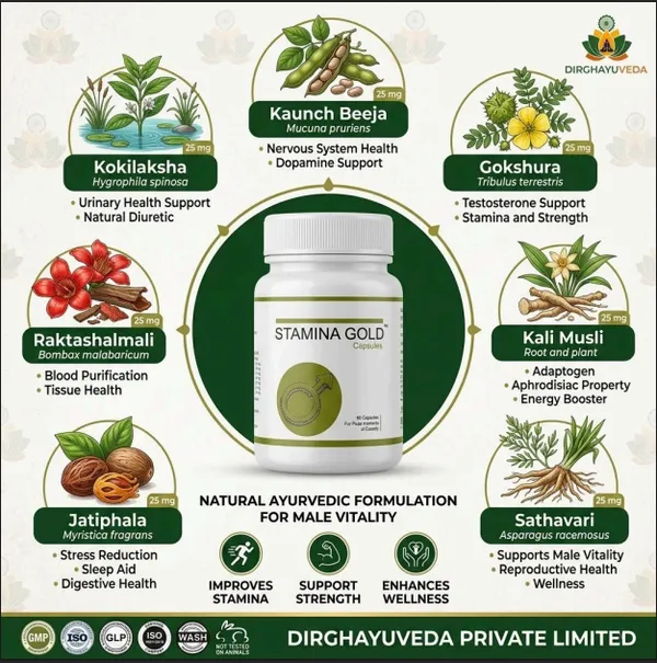 Stamina_Gold_Capsules_-_Ayurvedic_Herbal_Supplement_For_Men_(60_Capsules)