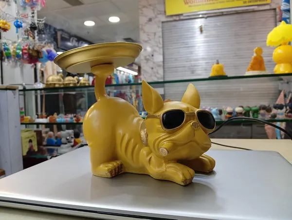 Multicolor_Resin_Dog_Showpiece_With_Tray