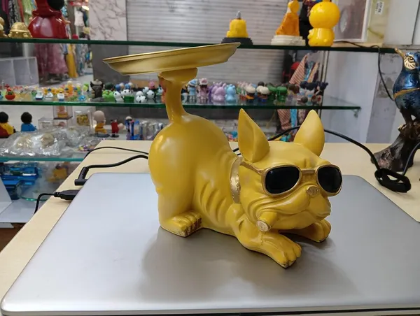 Multicolor_Resin_Dog_Showpiece_With_Tray