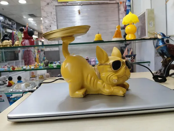 Multicolor_Resin_Dog_Showpiece_With_Tray
