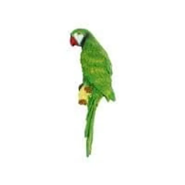 Green_Resin_Parrot_Wall_Sculpture