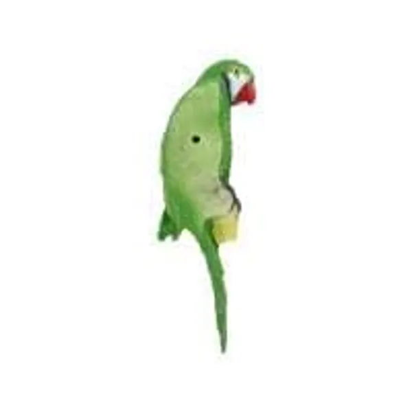 Green_Resin_Parrot_Wall_Sculpture
