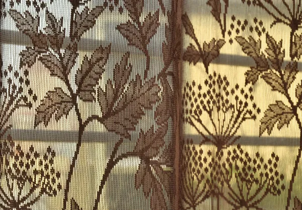Beautiful_Heavy_Net_Eyelet_Ring_Living_Room_Long_Door_Curtain_(Pack_Of_1)