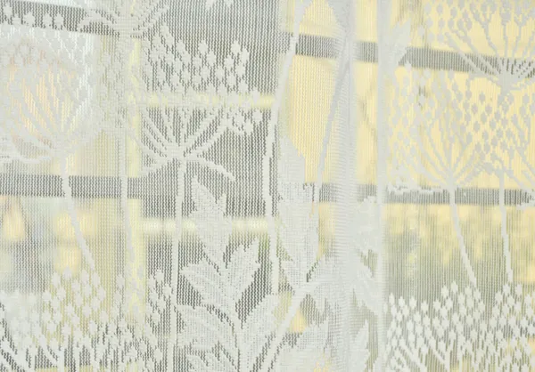 Beautiful_Heavy_Net_Eyelet_Ring_Living_Room_Long_Door_Curtain_(Pack_Of_2)