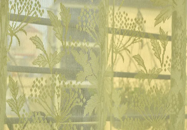 Beautiful_Heavy_Net_Eyelet_Ring_Living_Room_Long_Door_Curtain_(Pack_Of_1)