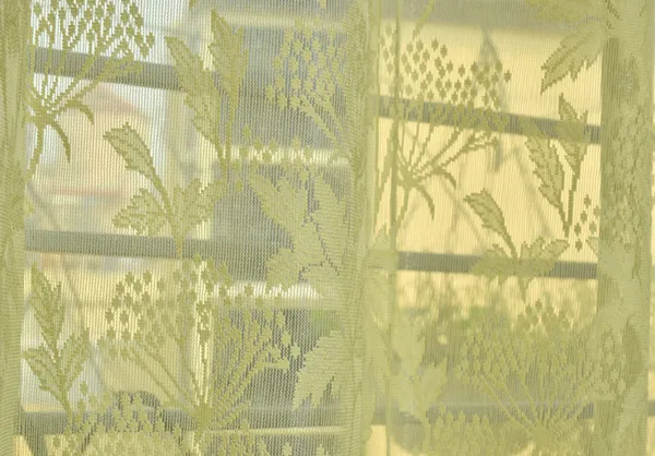 Beautiful_Heavy_Net_Eyelet_Ring_Living_Room_Long_Door_Curtain_(Pack_Of_2)