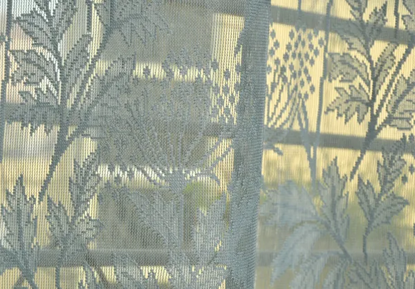 Beautiful_Heavy_Net_Eyelet_Ring_Living_Room_Long_Door_Curtain_(Pack_Of_2)