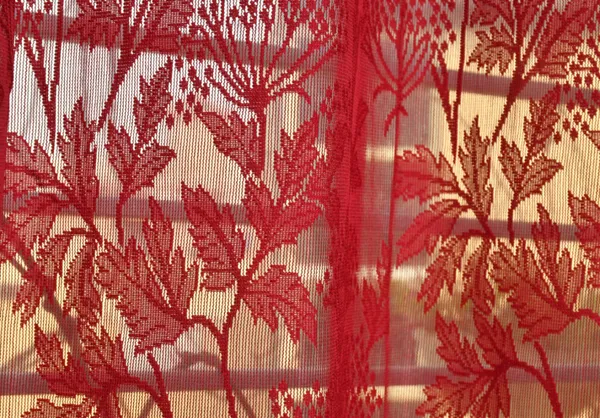 Beautiful_Heavy_Net_Eyelet_Ring_Living_Room_Door_Curtain_(Pack_Of_2)