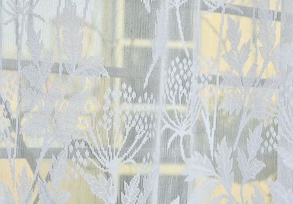 Beautiful_Heavy_Net_Eyelet_Ring_Living_Room_Door_Curtain_(Pack_Of_2)