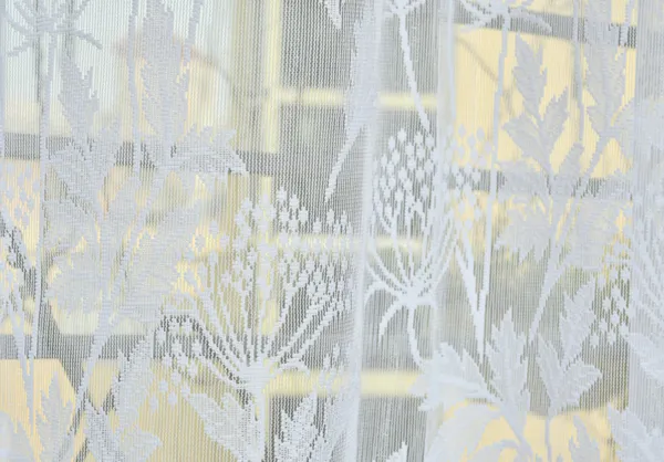 Beautiful_Heavy_Net_Eyelet_Ring_Living_Room_Long_Door_Curtain_(Pack_Of_1)