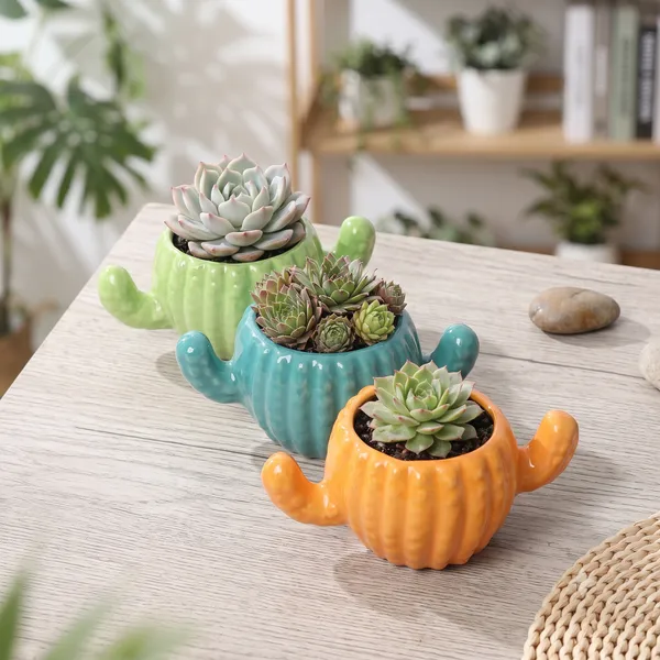 Cactus_Crate_:_Three-Color_Ceramic_Succulent_Planter_Trio