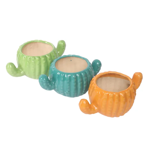 Cactus_Crate_:_Three-Color_Ceramic_Succulent_Planter_Trio