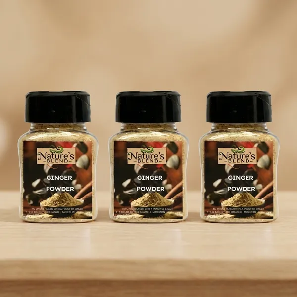 Nature'S_Blend_Pure_Ginger_Powder_-_Premium_Quality_Spice_(40G)_Pack_Of_3