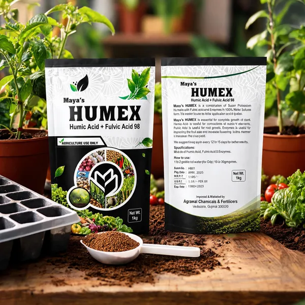 Brown_Soil_Based_Fertilizer_Apply_To_Soil_According_To_The_Recommended_Dosage