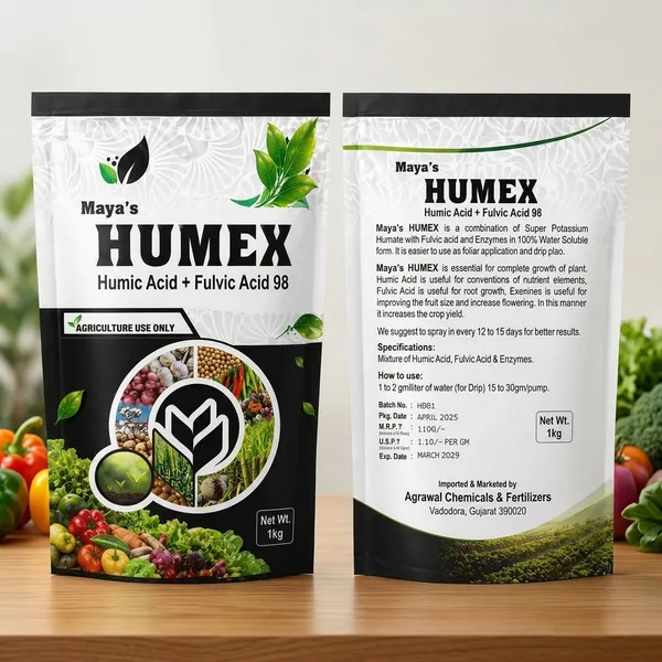 Brown_Soil_Based_Fertilizer_Apply_To_Soil_According_To_The_Recommended_Dosage
