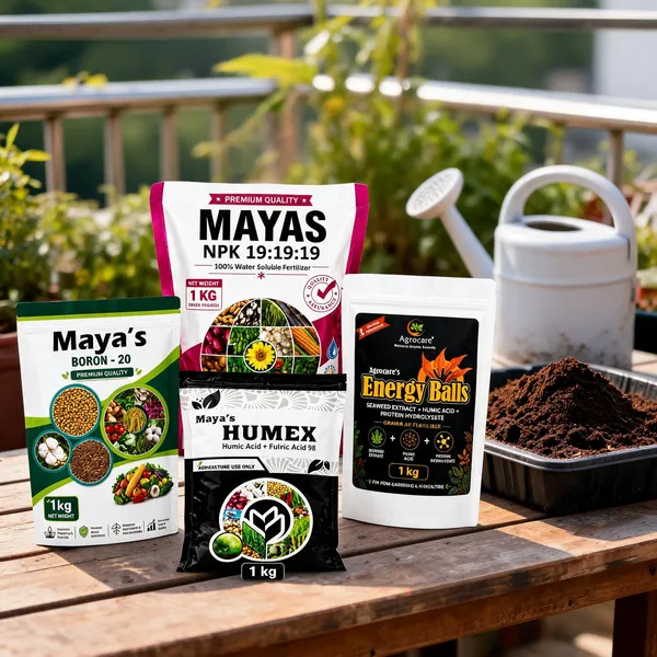 Brown_Soil_Based_Fertilizer_Apply_To_Soil_To_Enhance_Plant_Growth_And_Nutrient_Uptake