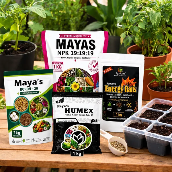 Brown_Soil_Based_Fertilizer_Apply_To_Soil_To_Enhance_Plant_Growth_And_Nutrient_Uptake