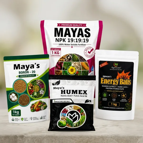 Brown_Soil_Based_Fertilizer_Apply_To_Soil_To_Enhance_Plant_Growth_And_Nutrient_Uptake