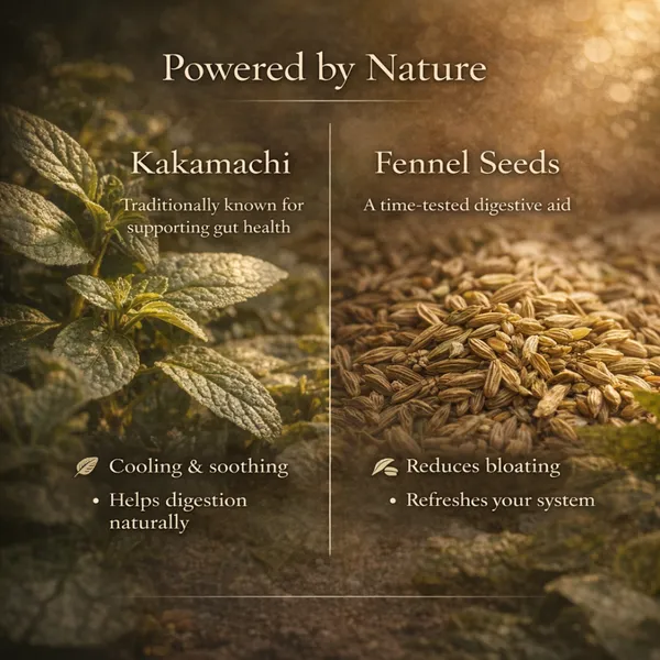 Mridva_-_Gut_Calm_Brew_-_Kakamachi_&_Fennel_Seeds_Tea