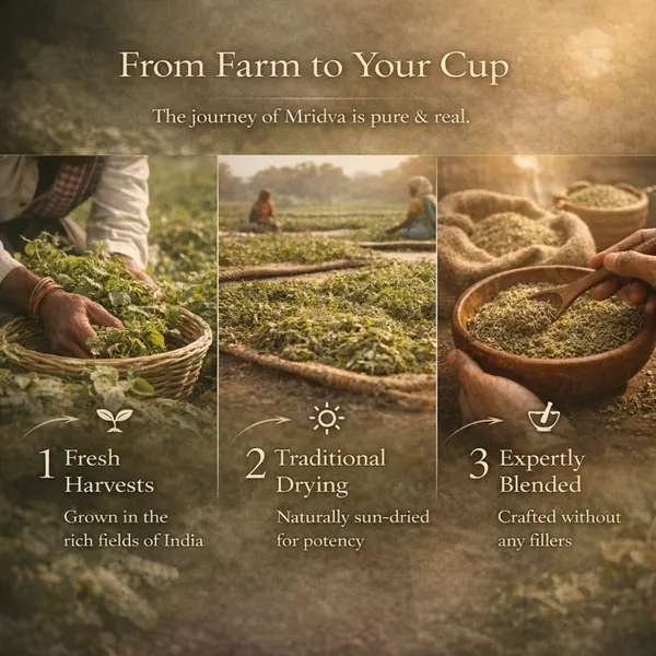 Mridva_-_Gut_Calm_Brew_-_Kakamachi_&_Fennel_Seeds_Tea