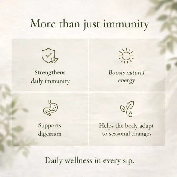 Avira_-_Daily_Immunity_Brew_-_Moringa_&_Tulsi_Herbal_Tea