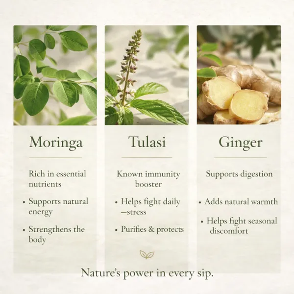 Avira_-_Daily_Immunity_Brew_-_Moringa_&_Tulsi_Herbal_Tea