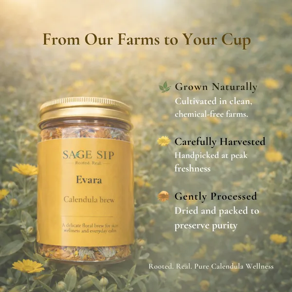 Evara_-_Calendula_Brew_-_Herbal_Floral_Tea_For_Skin_Wellness_And_Everyday_Calm