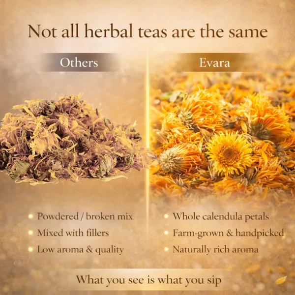 Evara_-_Calendula_Brew_-_Herbal_Floral_Tea_For_Skin_Wellness_And_Everyday_Calm