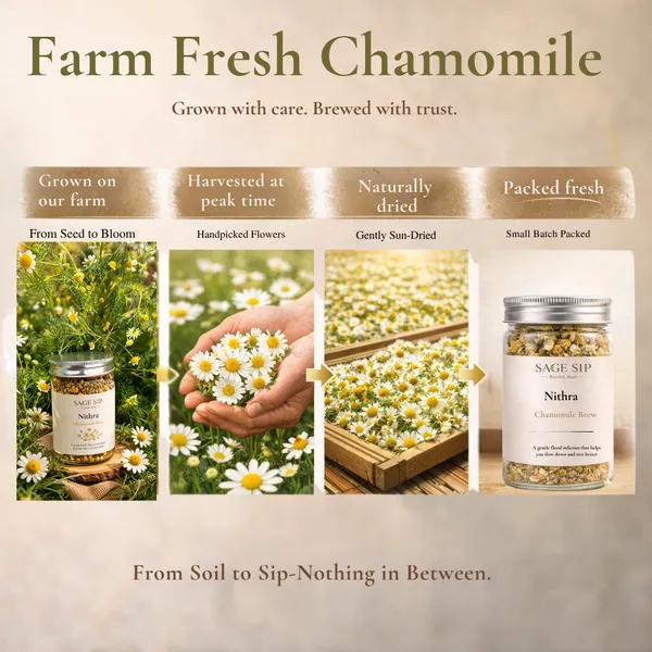 Nithra_-_Chamomile_Brew_-_Calming_Herbal_Tea_For_Better_Sleep