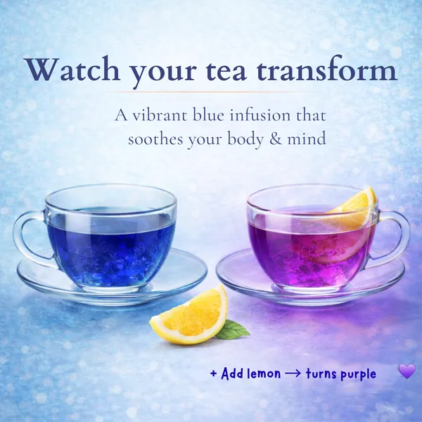 Neelva_-_Blue_Pea_Brew_-_Herbal_Infusion_Tea