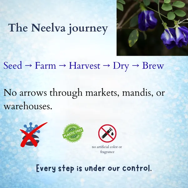 Neelva_-_Blue_Pea_Brew_-_Herbal_Infusion_Tea
