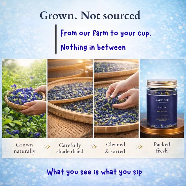 Neelva_-_Blue_Pea_Brew_-_Herbal_Infusion_Tea