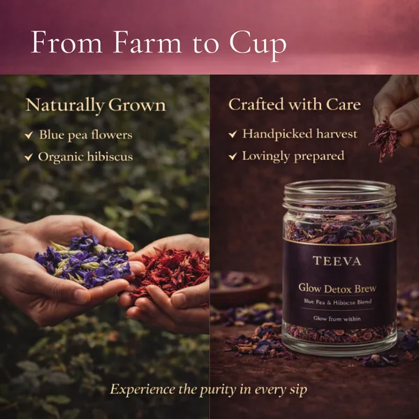 Teeva_-_Glow_Detox_Brew_-_Blue_Pea_&_Hibiscus_Herbal_Tea