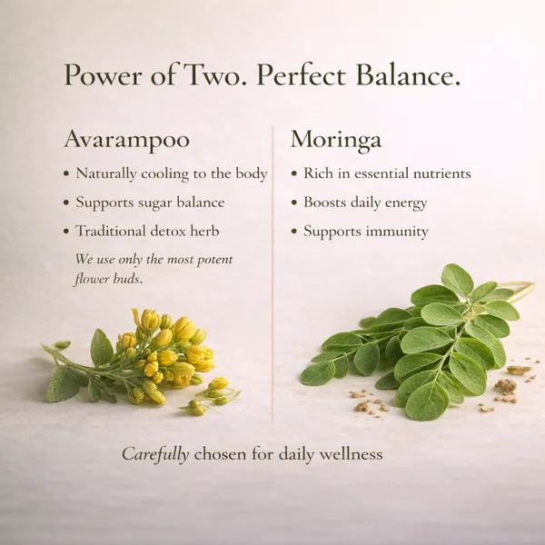 Sattva_-_Daily_Balance_Brew_-_Aavarampoo_&_Moringa_Herbal_Tea