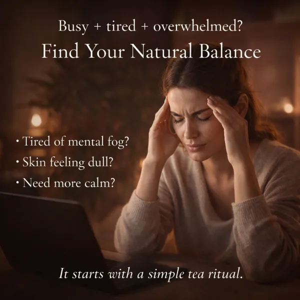 Pack_Of_2_Medha_&_Teeva_Combo_-_Glow_Detox,_Mind_Refresh_Brew_-_Herbal_Tea_
