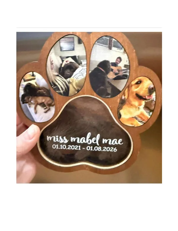 Pet_Memorial_Shadow_Box