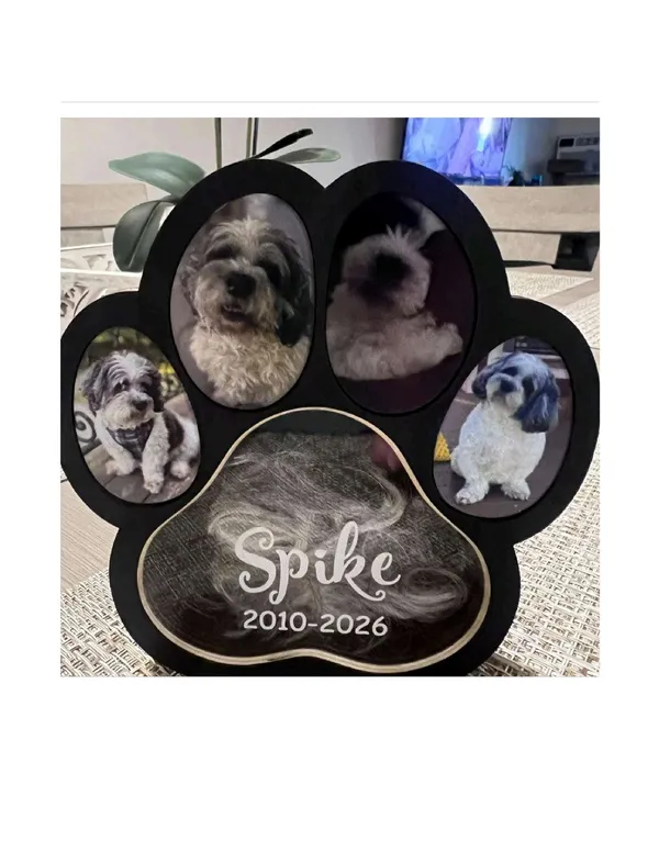 Pet_Memorial_Shadow_Box