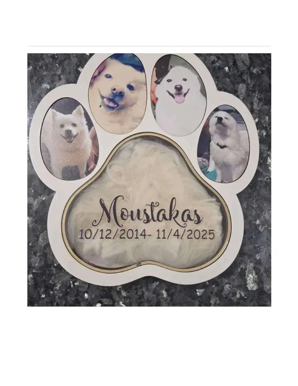 Pet_Memorial_Shadow_Box