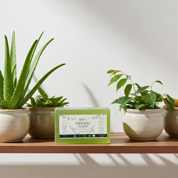 Herbal_Soap_-_Natural_Aloe_Vera_&_Neem_Cleansing_Bar_Pack_Of_2