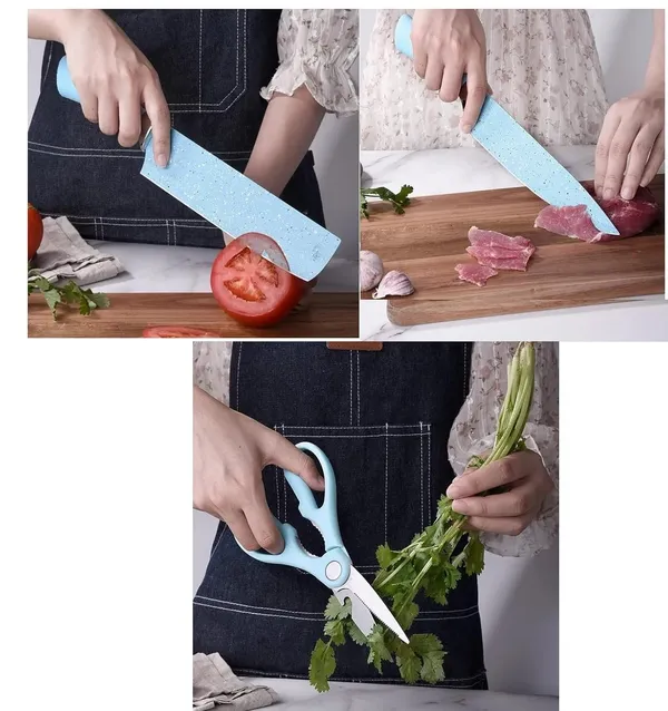_Set_of_6_Stainless_Steel_Knives_Set_Including_Peeler_and_Scissor_Kitchen_Cutlery_Knives_Set_with_Box_-_Set_of_6_Pieces,_Blue?