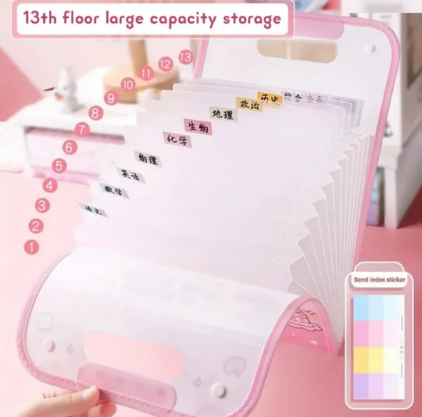 A4_Size_File_Folder_with_Button_Lock_and_Handle,_Certificates_Document_Holder_with_12_Pockets_Sections_Expandable_Folders_Gift_for_Girls_(Pack_of_1),_Pink