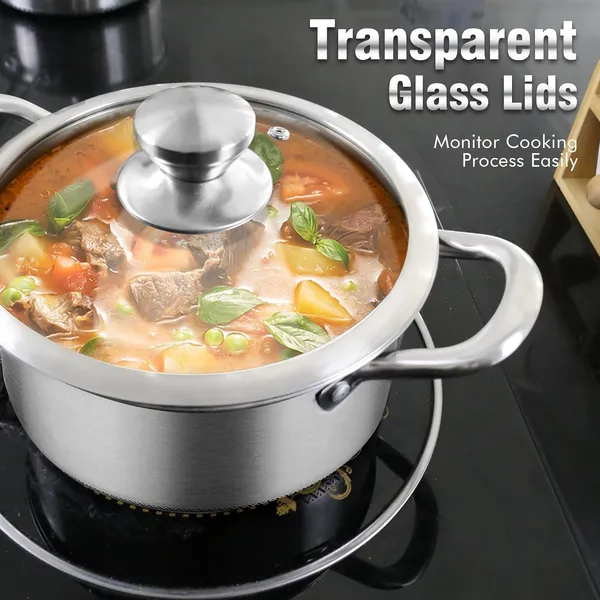 3_Ltrs_Stainless_Steel_Stockpot_with_Glass_Lid,_Non_Stick_Honeycomb_Carving,_Induction_Soup_Pot_Pan_Compatible_with_All_Cooktops,_Dishwasher_&_Oven_Safe,_22_CM