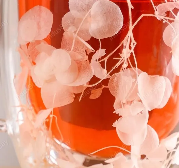 1Piece,_Double_Wall_Borosilicate_Glass_Mug_with_Faux_Dried_Flowers_�_Elegant_Insulated_Coffee/Tea_Cup_|_Transparent_Floral_Design_|_250ml_|_Ideal_for_Gifting,_Home_&_Office,_Boutique