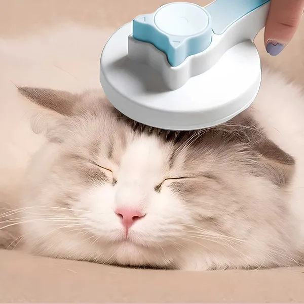 Pet_Hair_Removal_Brush
