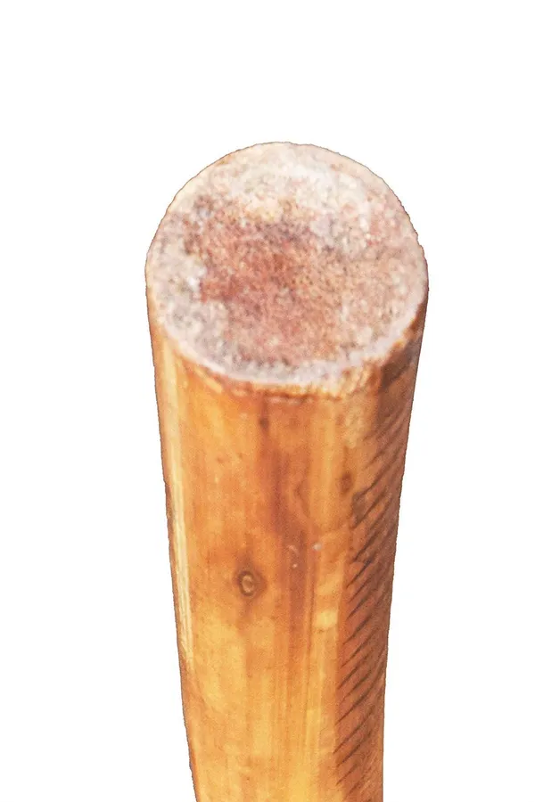 Natural_Bamboo_Walking_Stick_With_Forked_Handle