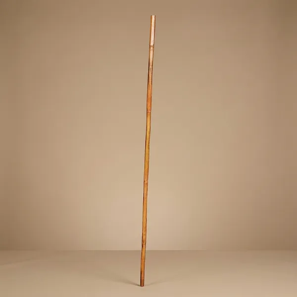 Natural_Bamboo_Walking_Stick_With_Forked_Handle