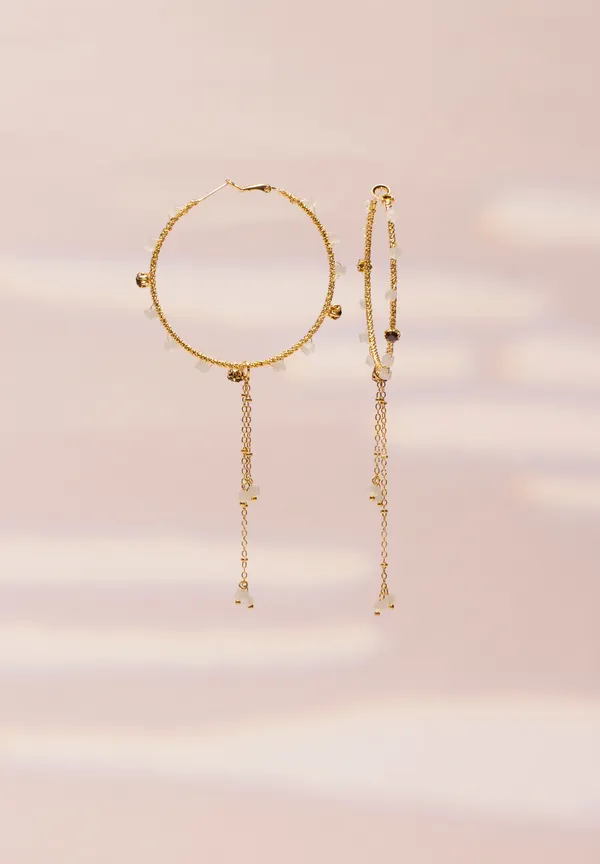 Akemi_Hoops