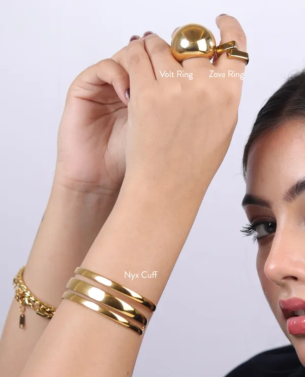Shilpa_X_Armour_2_Gold